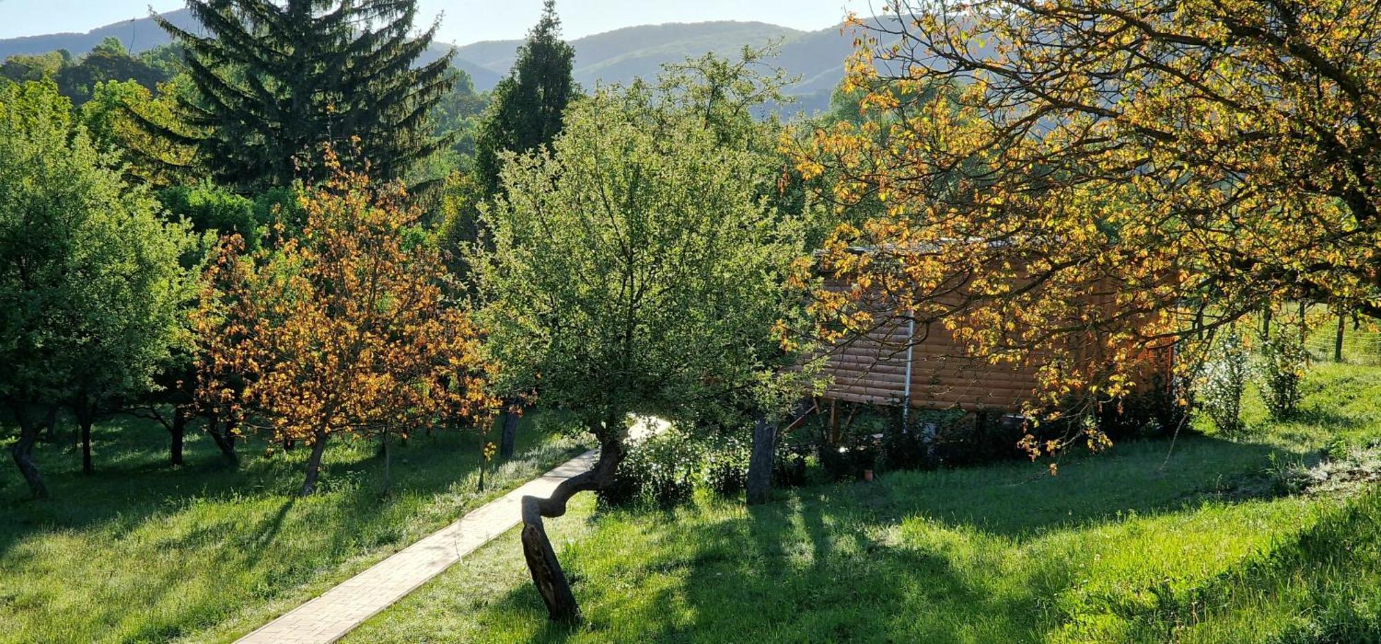 Réteskert vendégház és apartman Belapatfalva Exterior foto